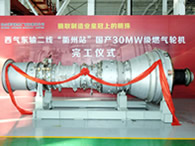 Gas Turbine